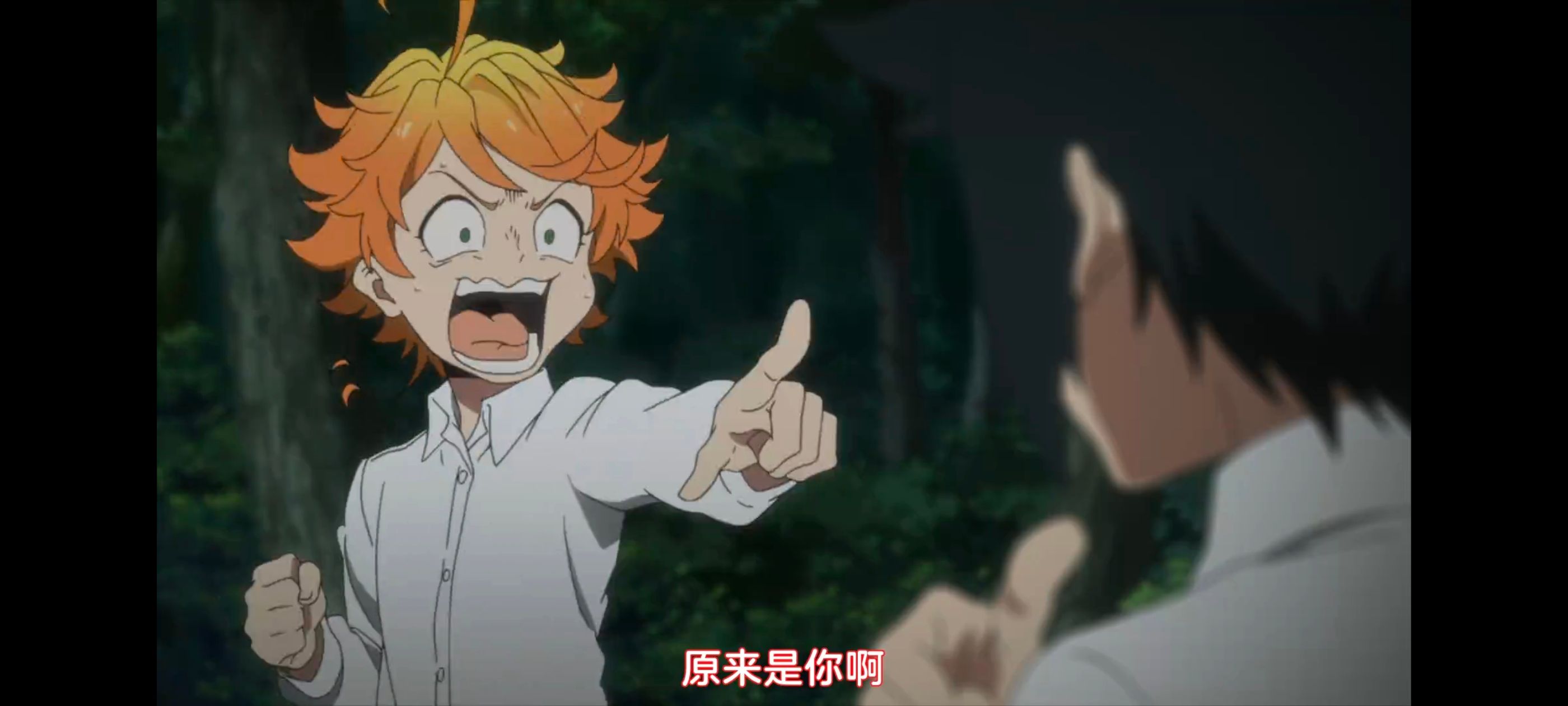 约定的梦幻岛,动画,动漫,番剧,ACG