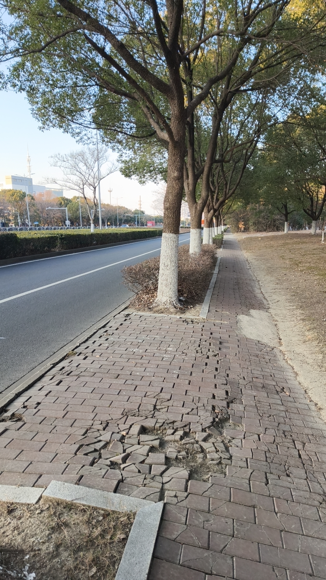 游玩,出游,逛街,昆山