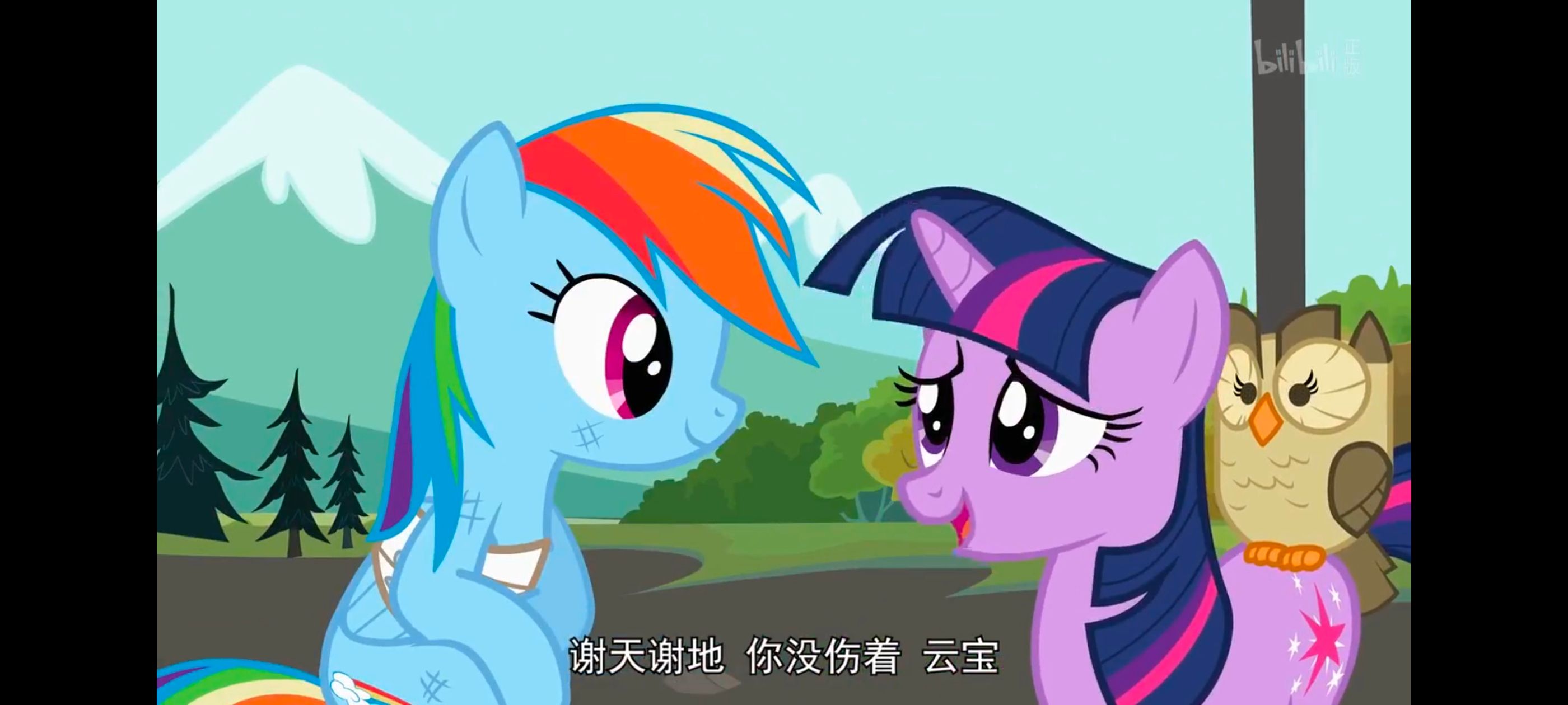 小马宝莉,彩虹小马,我的小马驹,动画,动漫,番剧,二次元,ACG