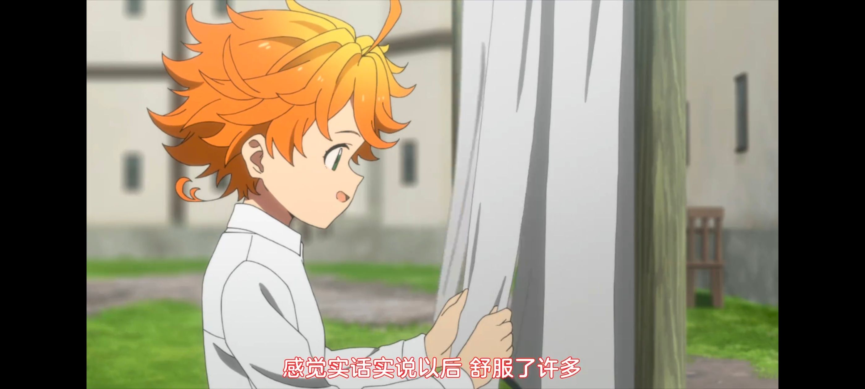 约定的梦幻岛,动画,动漫,番剧,ACG