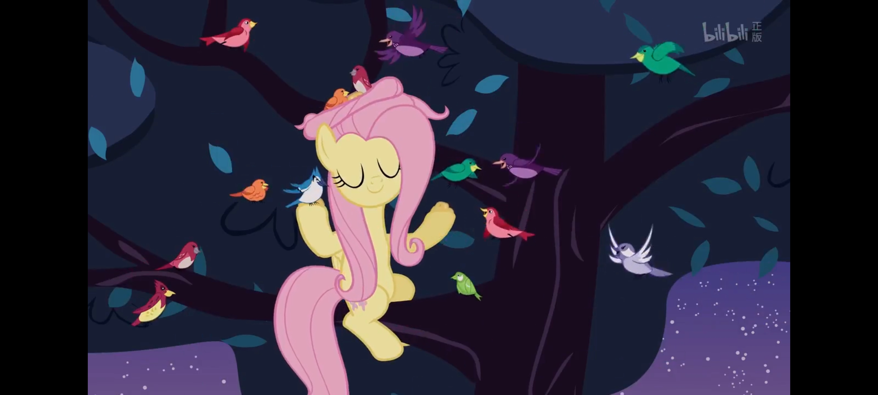 小马宝莉,彩虹小马,我的小马驹,动画,动漫,番剧,ACG