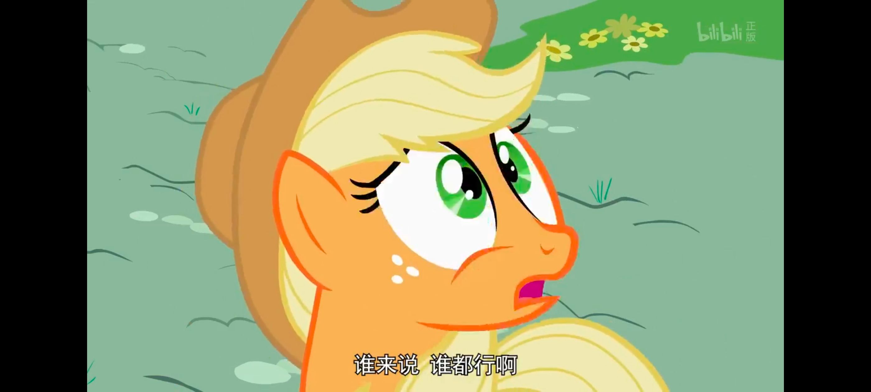 小马宝莉,彩虹小马,我的小马驹,动漫,动画,番剧,ACG