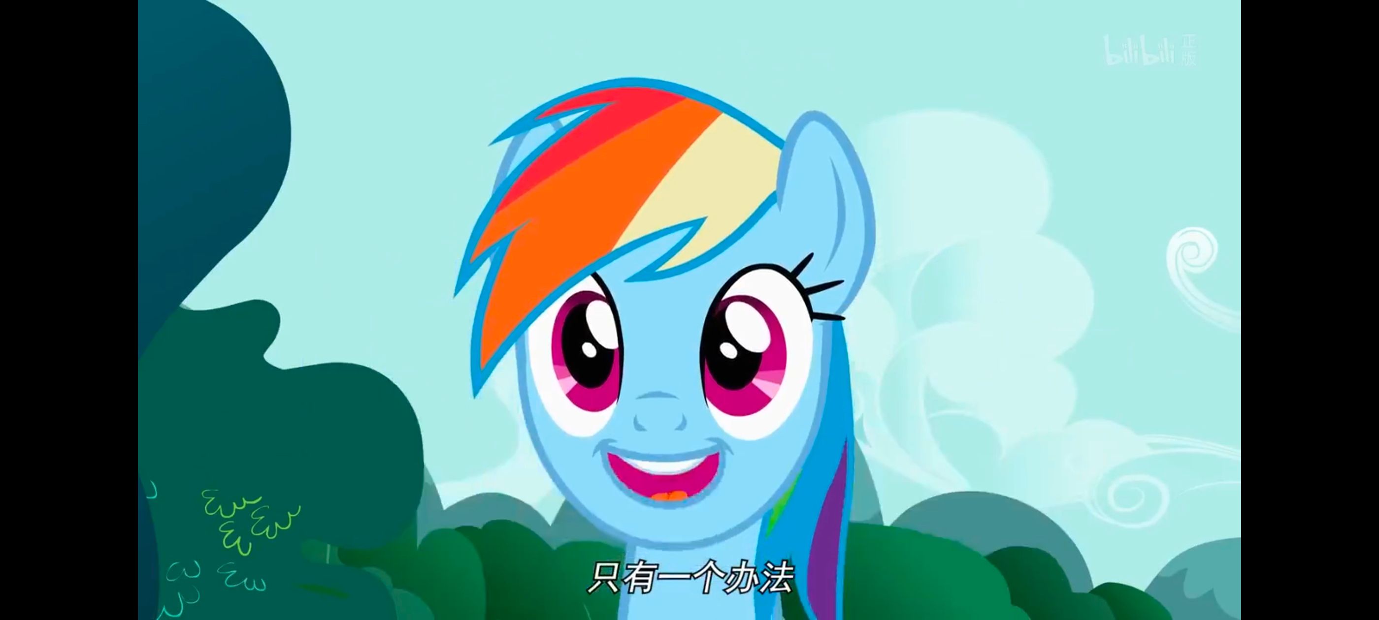 小马宝莉,彩虹小马,我的小马驹,动画,动漫,番剧,二次元,ACG