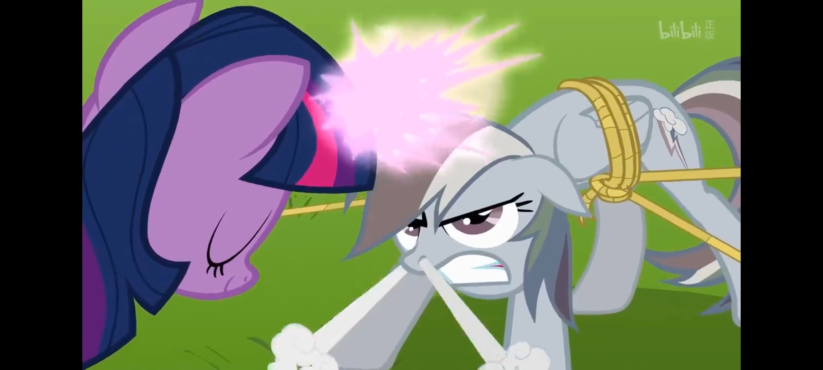 小马宝莉,彩虹小马,我的小马驹,小马宝莉友谊魔法,动漫,动画,番剧,ACG