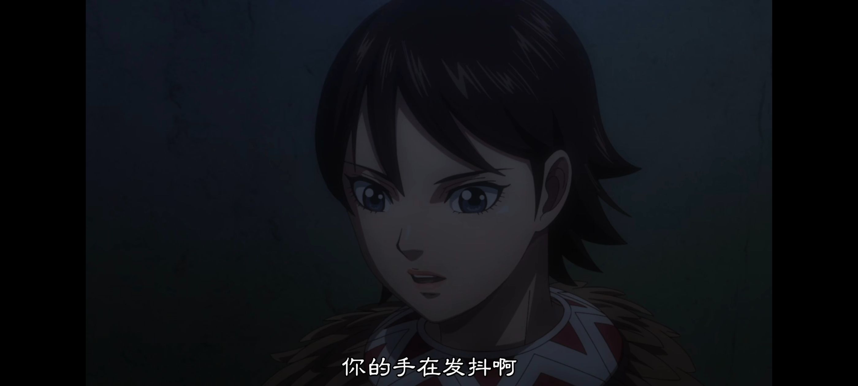 王者天下,动画,动漫,番剧,ACG