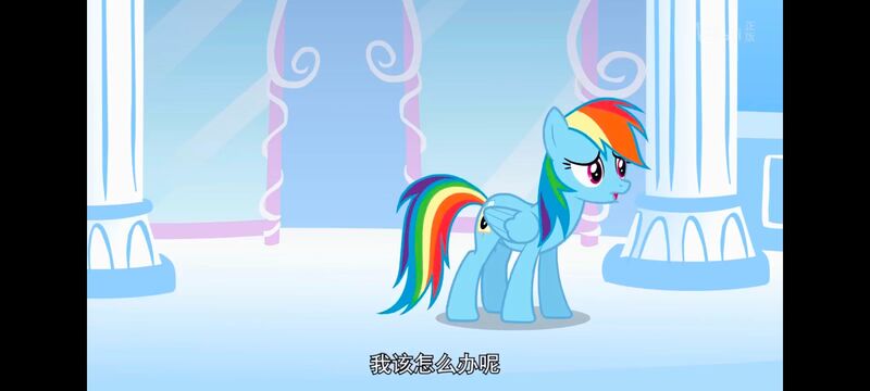 小马宝莉,小马宝莉友谊魔法,彩虹小马,我的小马驹,动画,动漫,番剧,ACG