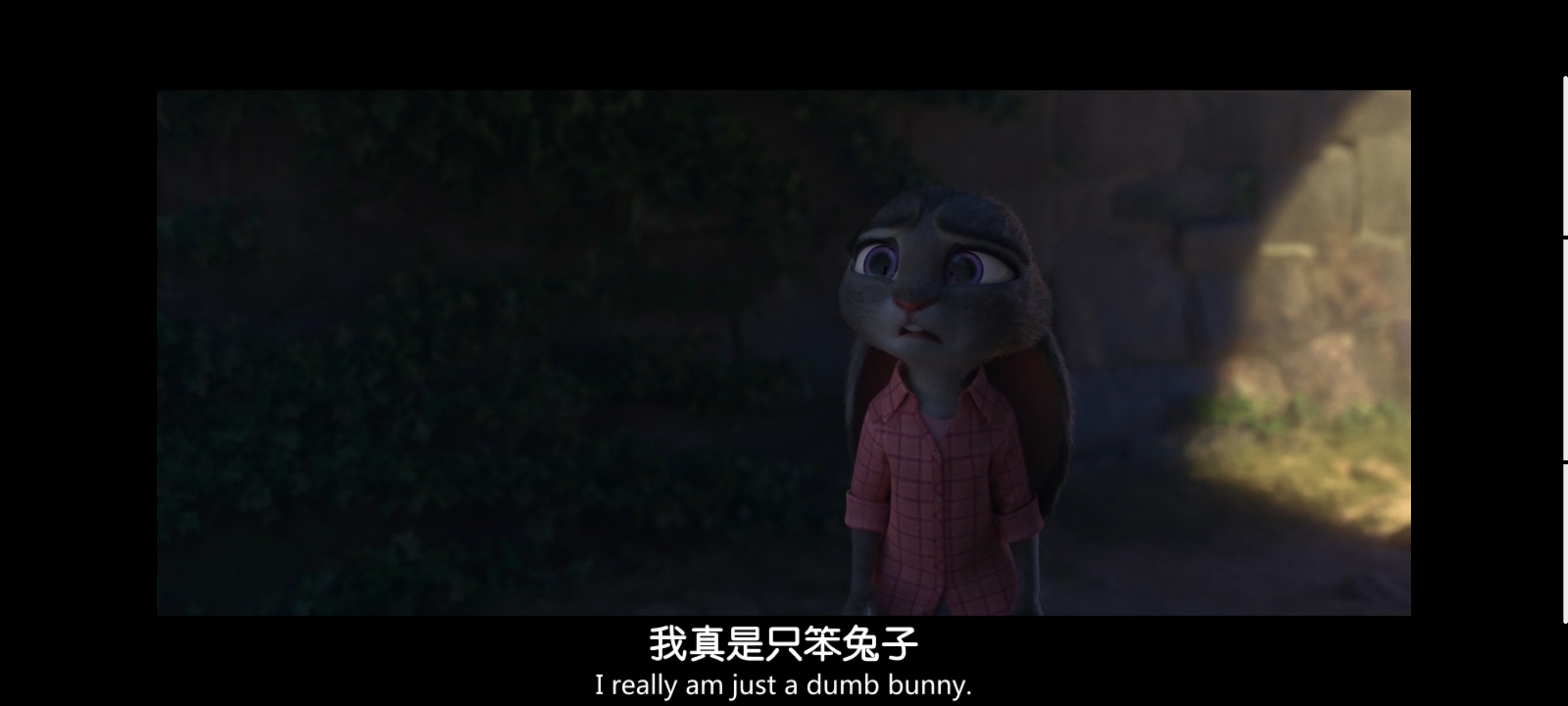 疯狂动物城,动画电影,动漫,动画,电影,二次元,ACG