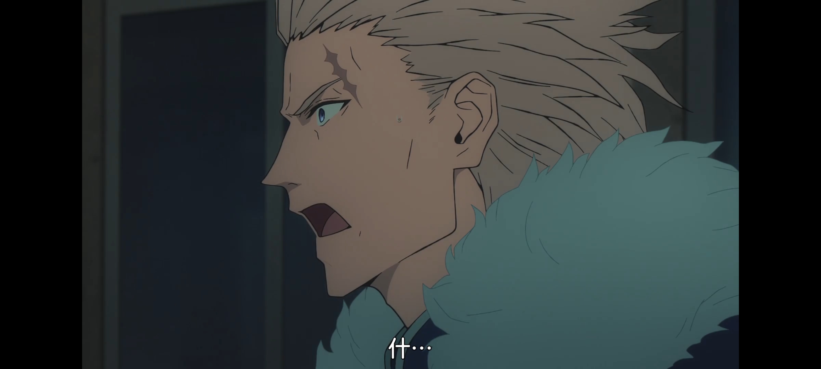 命运奇异赝品,FATE,FatestrangeFake,动画,动漫,番剧,二次元,ACG