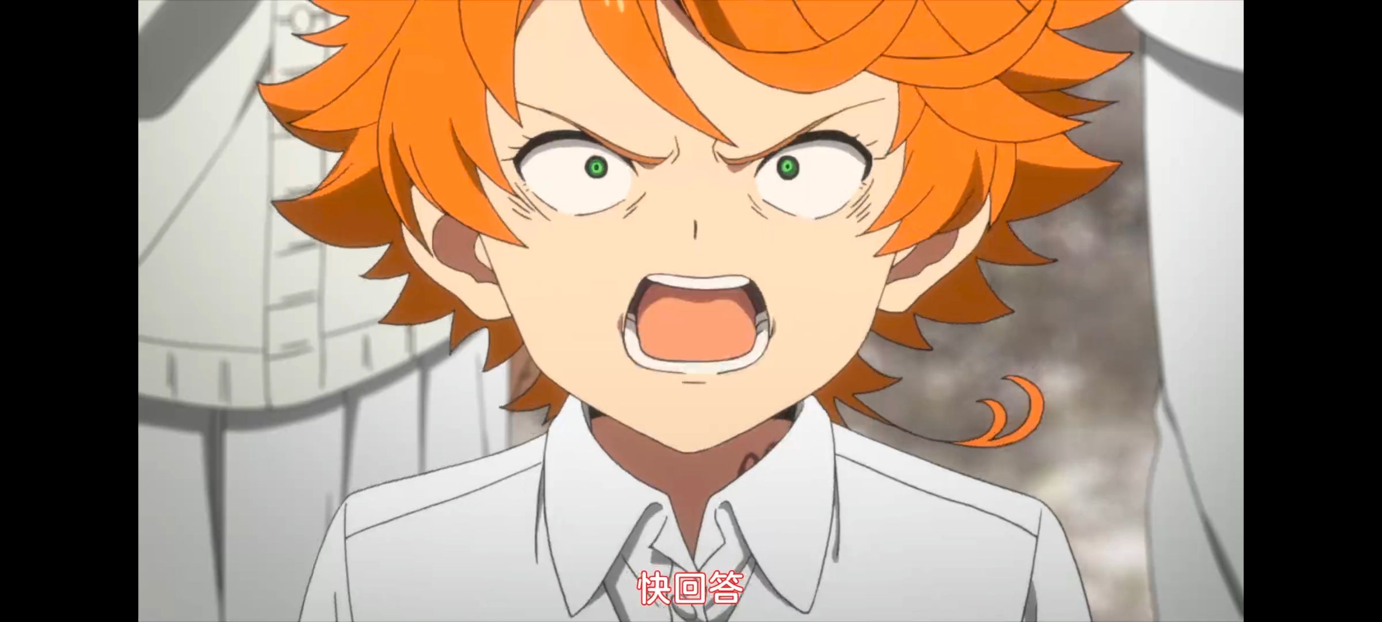 约定的梦幻岛,动画,动漫,番剧,二次元,ACG