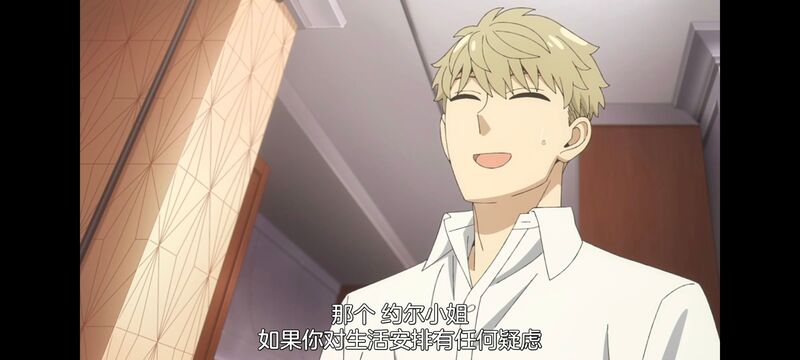 间谍过家家,SPYFAMILY,动画,动漫,番剧,ACG