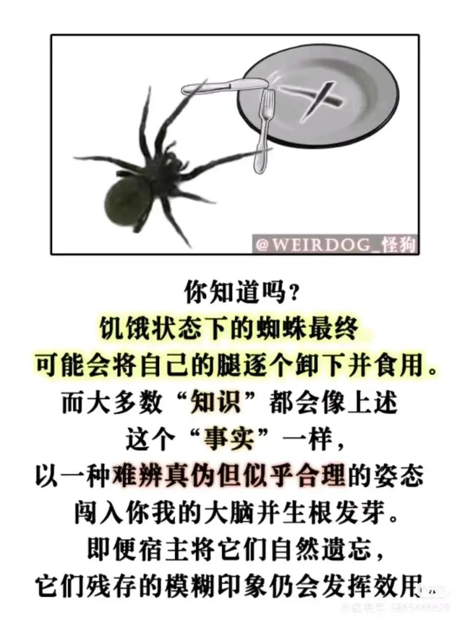 /static/85827c9cafe8977a437a54ae40c692dd2d22ab5962dcc8b2719913782c0b240d.jpg