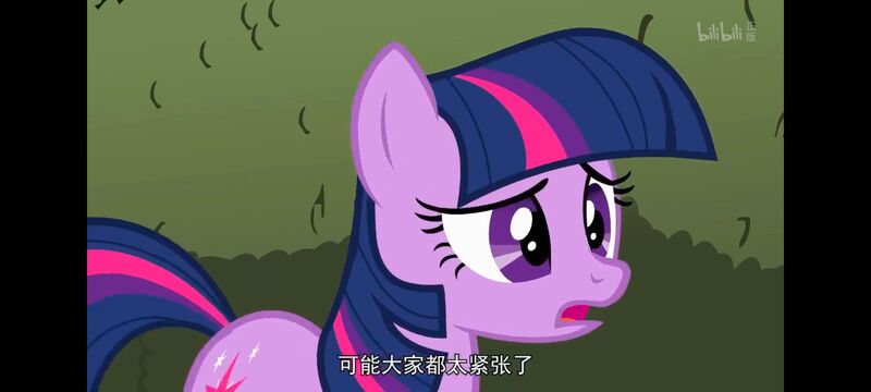 小马宝莉,小马宝莉友谊魔法,彩虹小马,我的小马驹,动画,动漫,番剧,ACG