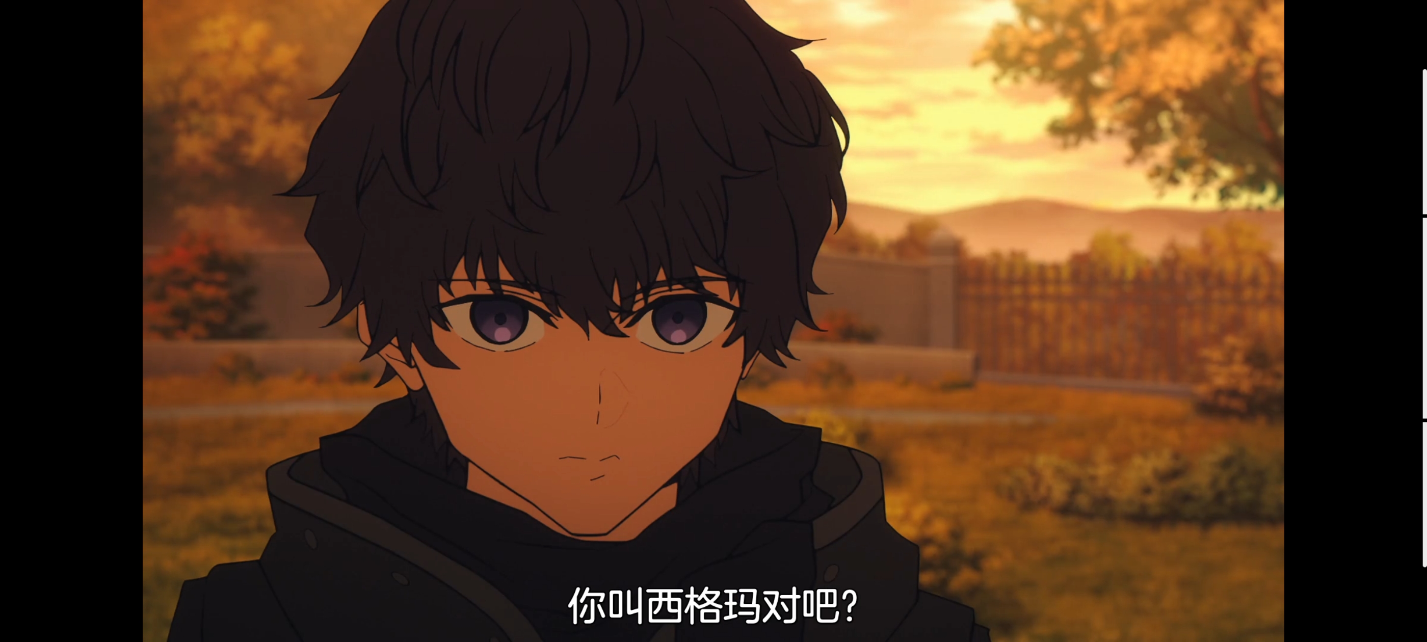 FATE,命运奇异赝品,FatestrangeFake,动画,动漫,番剧,二次元,ACG