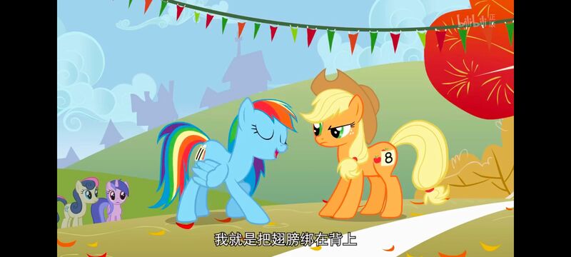 小马宝莉,小马宝莉友谊魔法,彩虹小马,我的小马驹,动画,动漫,番剧,ACG