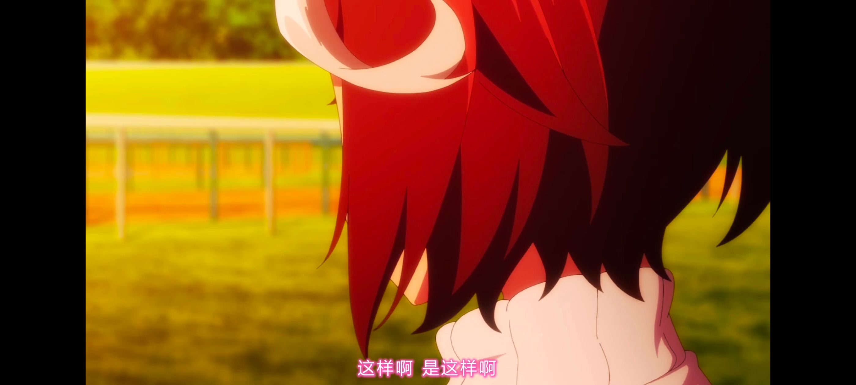 赛马娘,赛马娘PrettyDreby,赛马娘第二季,动画,动漫,番剧,二次元,ACG