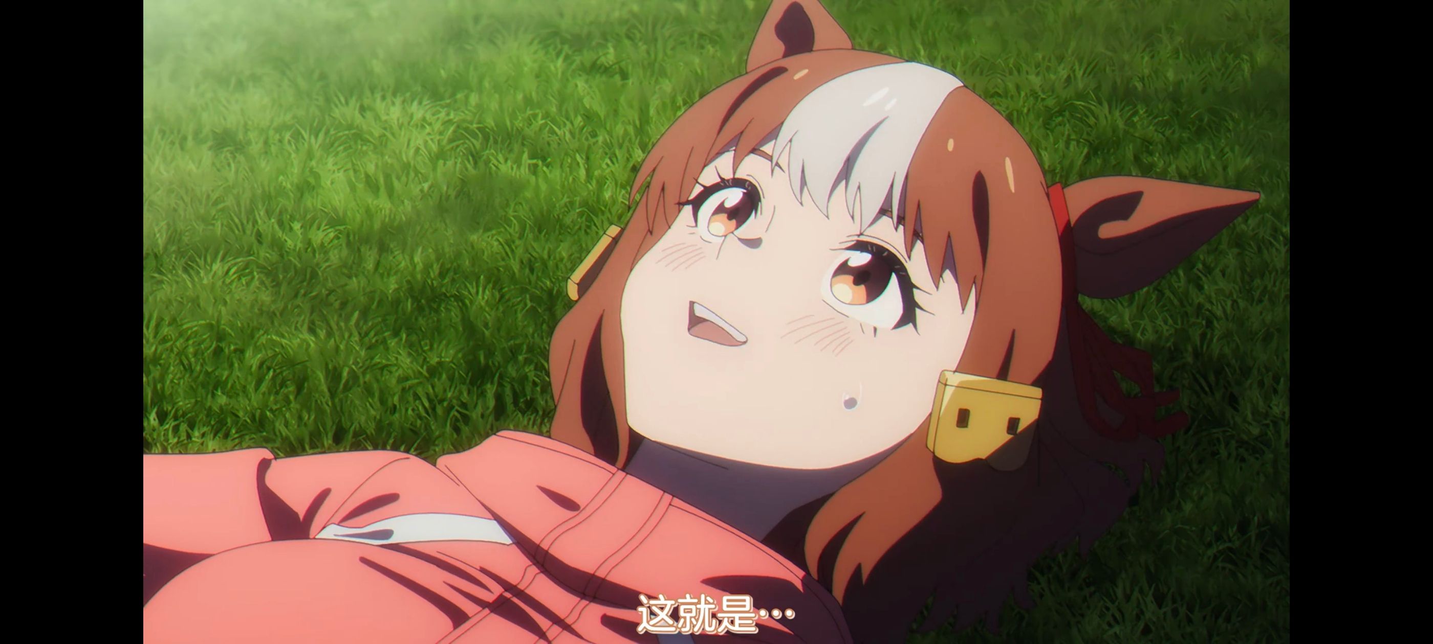 赛马娘,赛马娘PrettyDreby,芦毛灰姑娘,赛马娘芦毛灰姑娘,动画,动漫,番剧,ACG