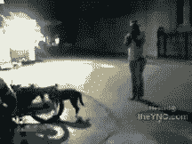 梗图,meme,动图,GIF,亓才孑