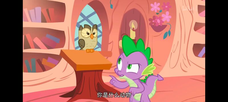 小马宝莉,彩虹小马,我的小马驹,动画,动漫,番剧,ACG,小马宝莉友谊魔法