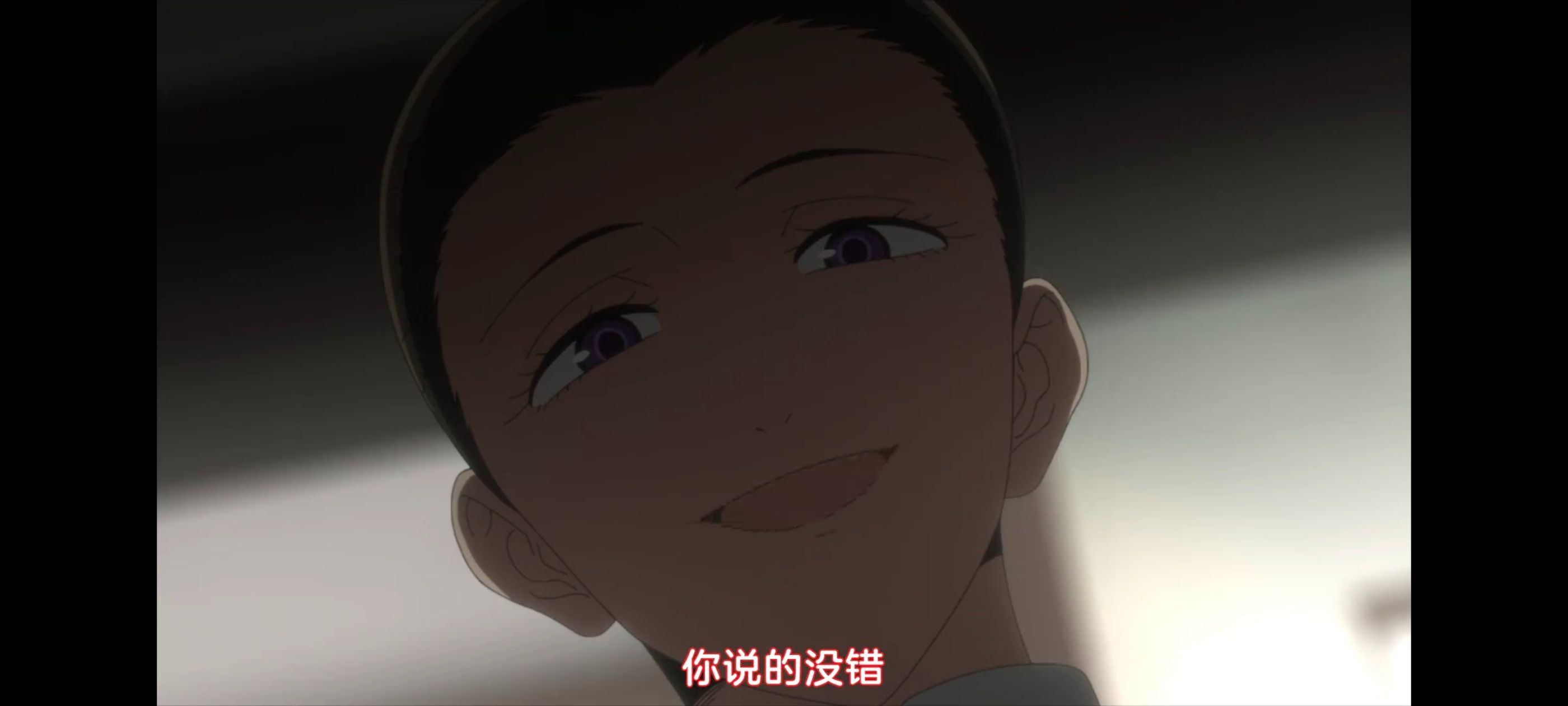 约定的梦幻岛,动画,动漫,番剧,二次元,ACG