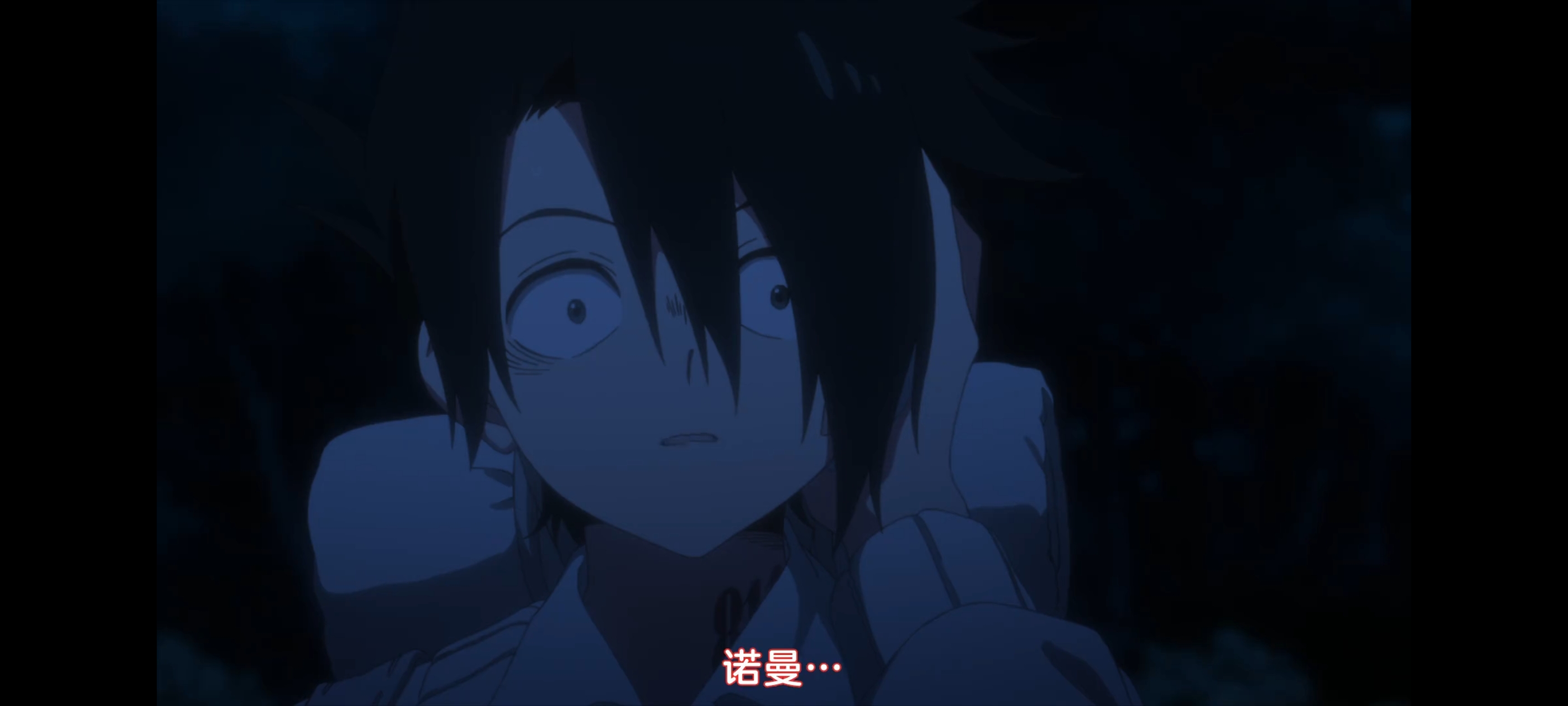 约定的梦幻岛,动画,动漫,番剧,二次元,ACG