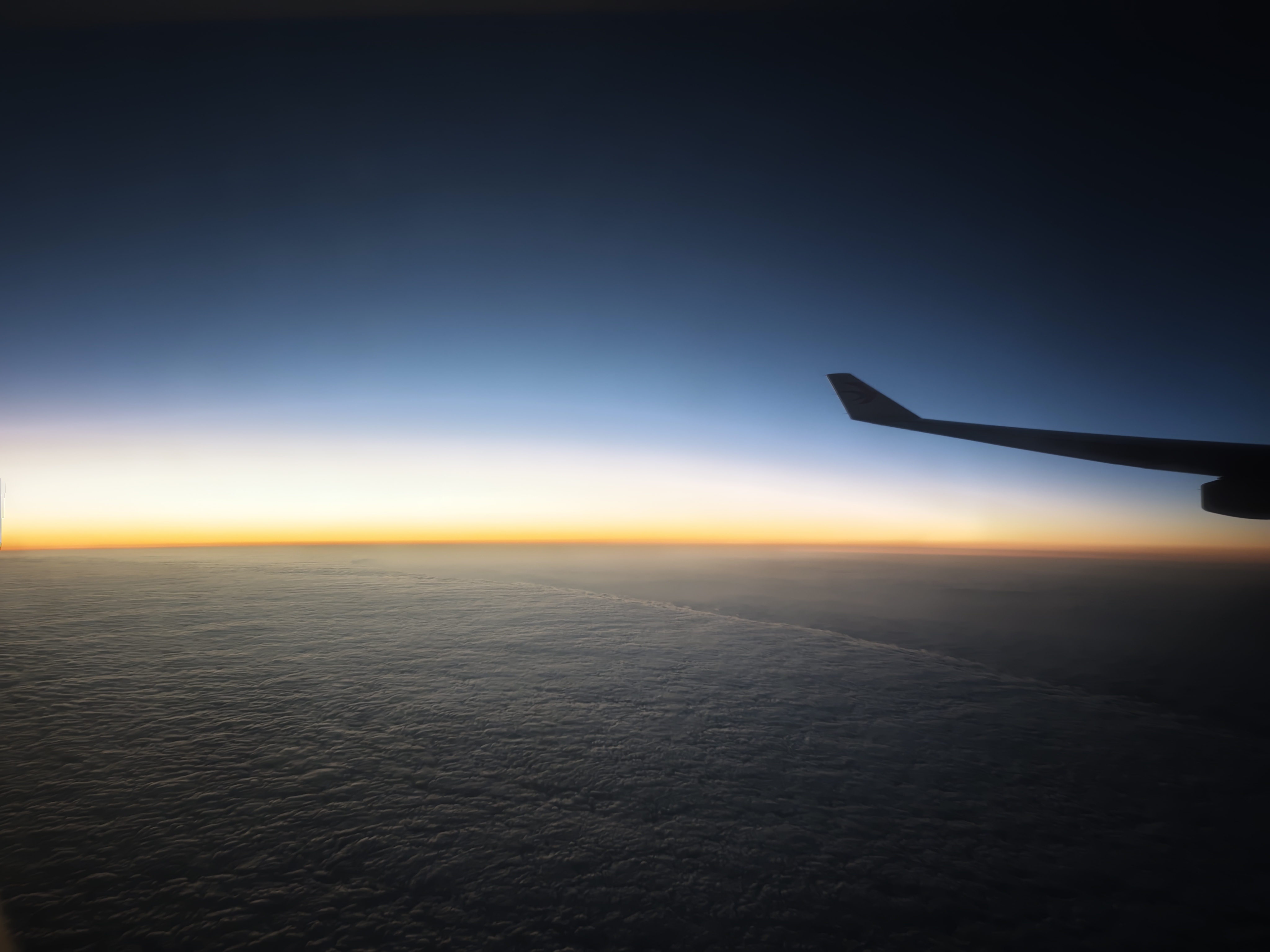 惑鹿,鹿日常,新年快乐