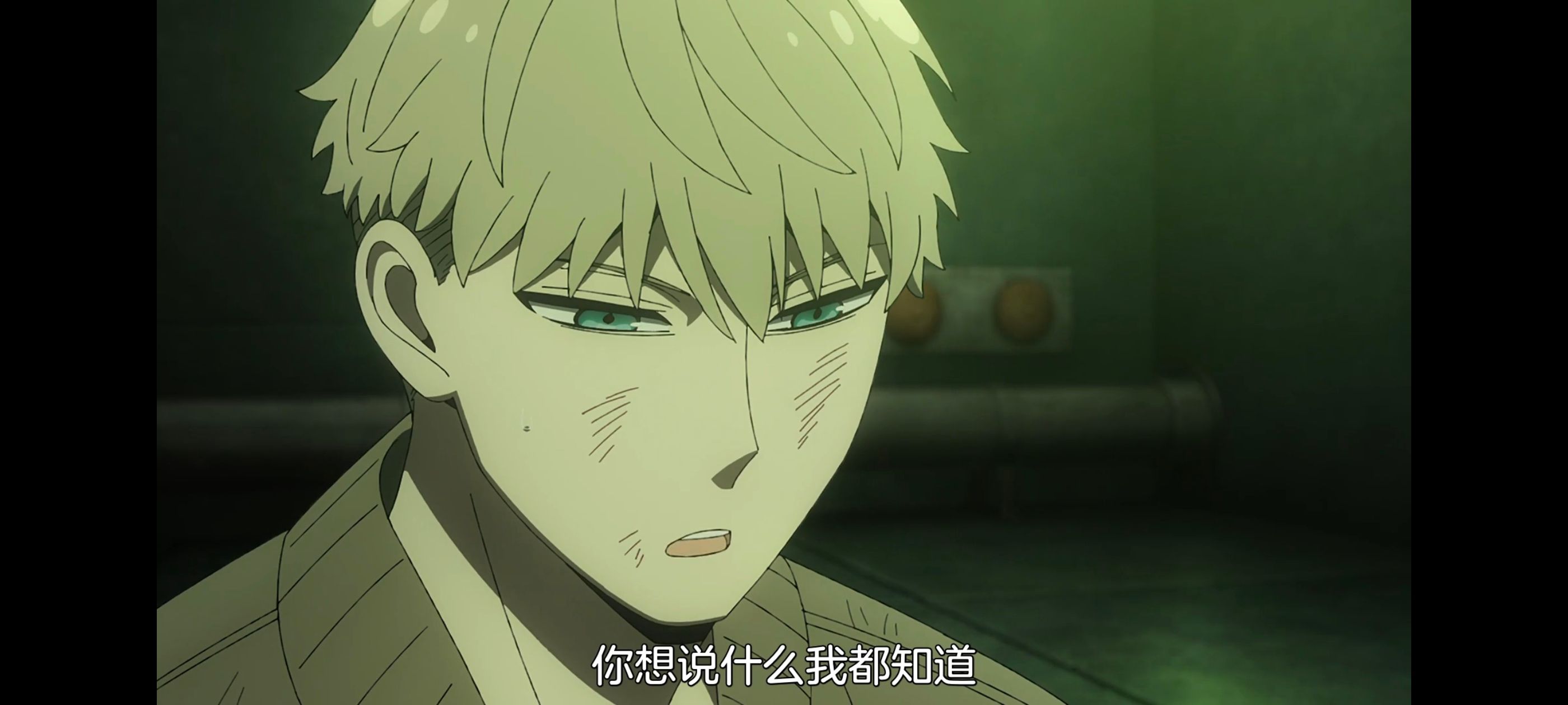 间谍过家家,SPYFAMILY,动画,动漫,番剧,ACG