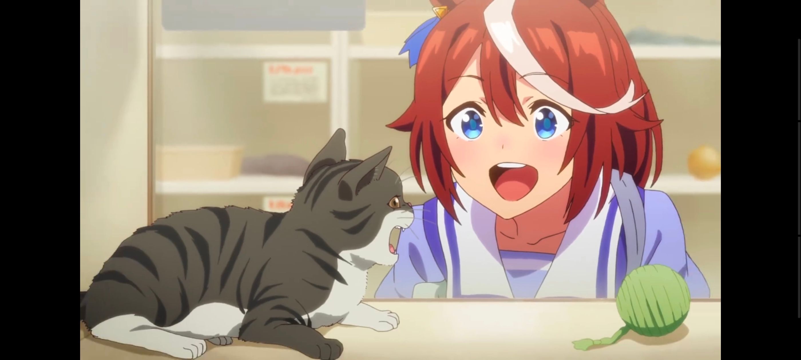 赛马娘,赛马娘PrettyDerby,赛马娘第二季,番剧,动画,动漫,二次元,ACG