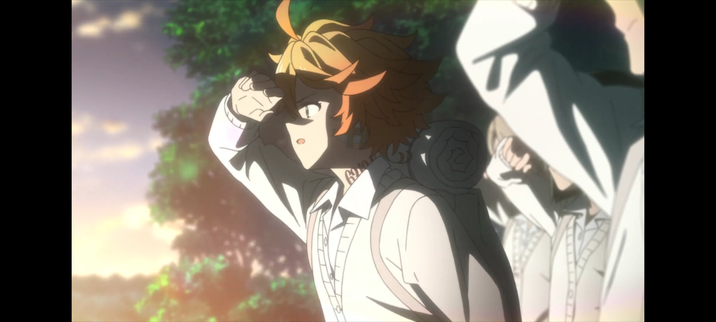 约定的梦幻岛,动画,动漫,番剧,二次元,ACG