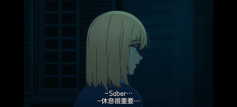 命运奇异赝品,FatestrangeFake,动画,动漫,番剧,ACG