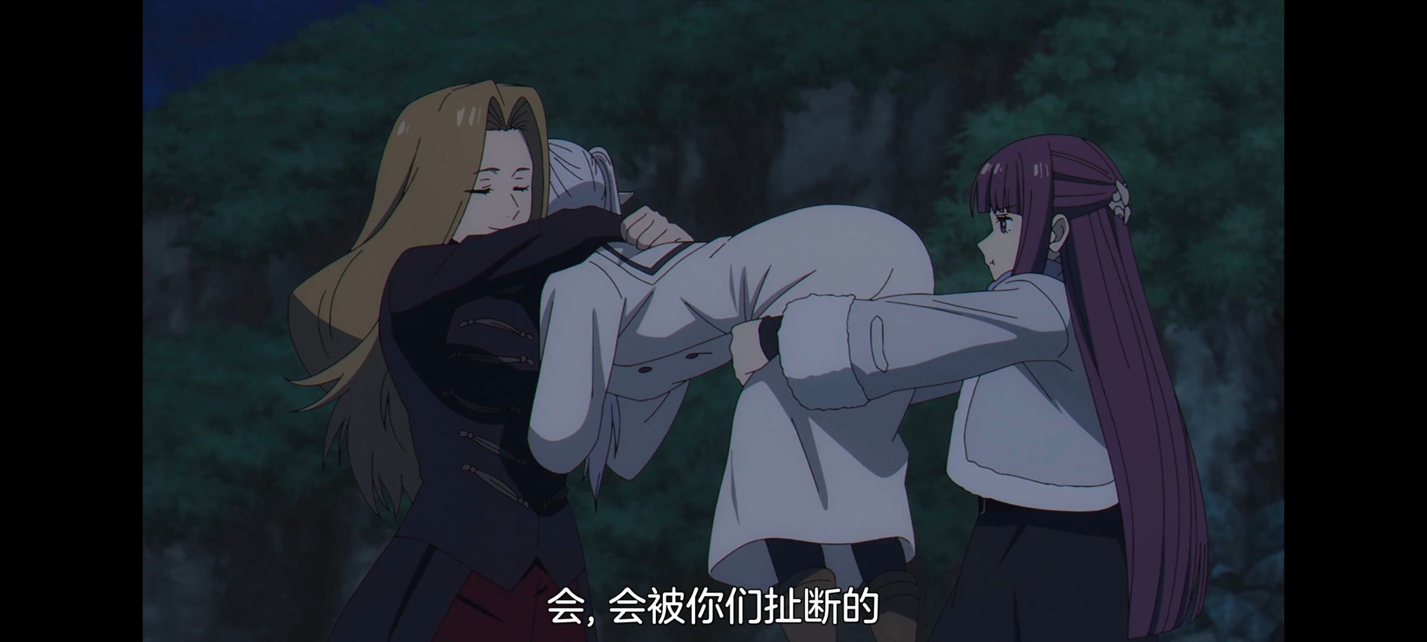 葬送的芙莉莲,动画,动漫,番剧,二次元,ACG