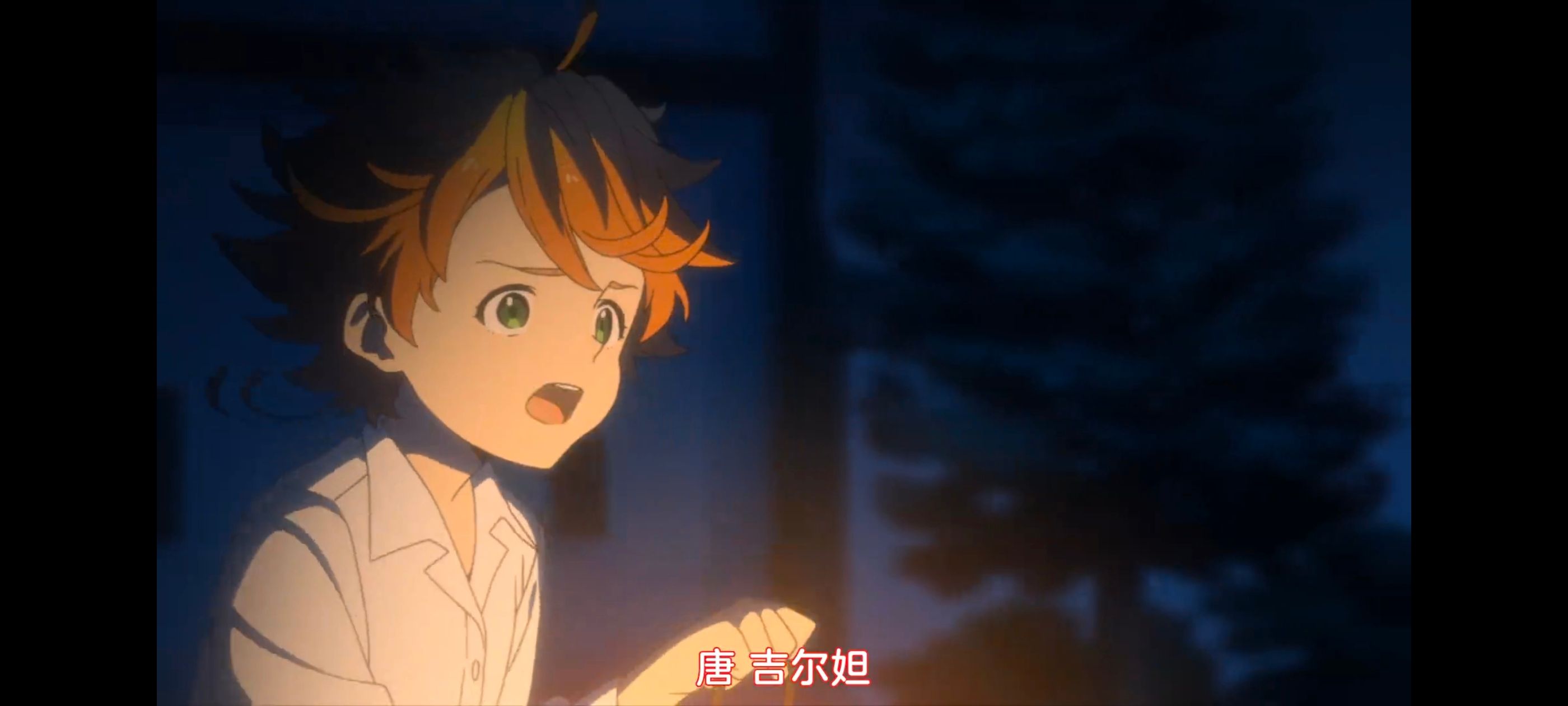 约定的梦幻岛,动画,动漫,番剧,ACG