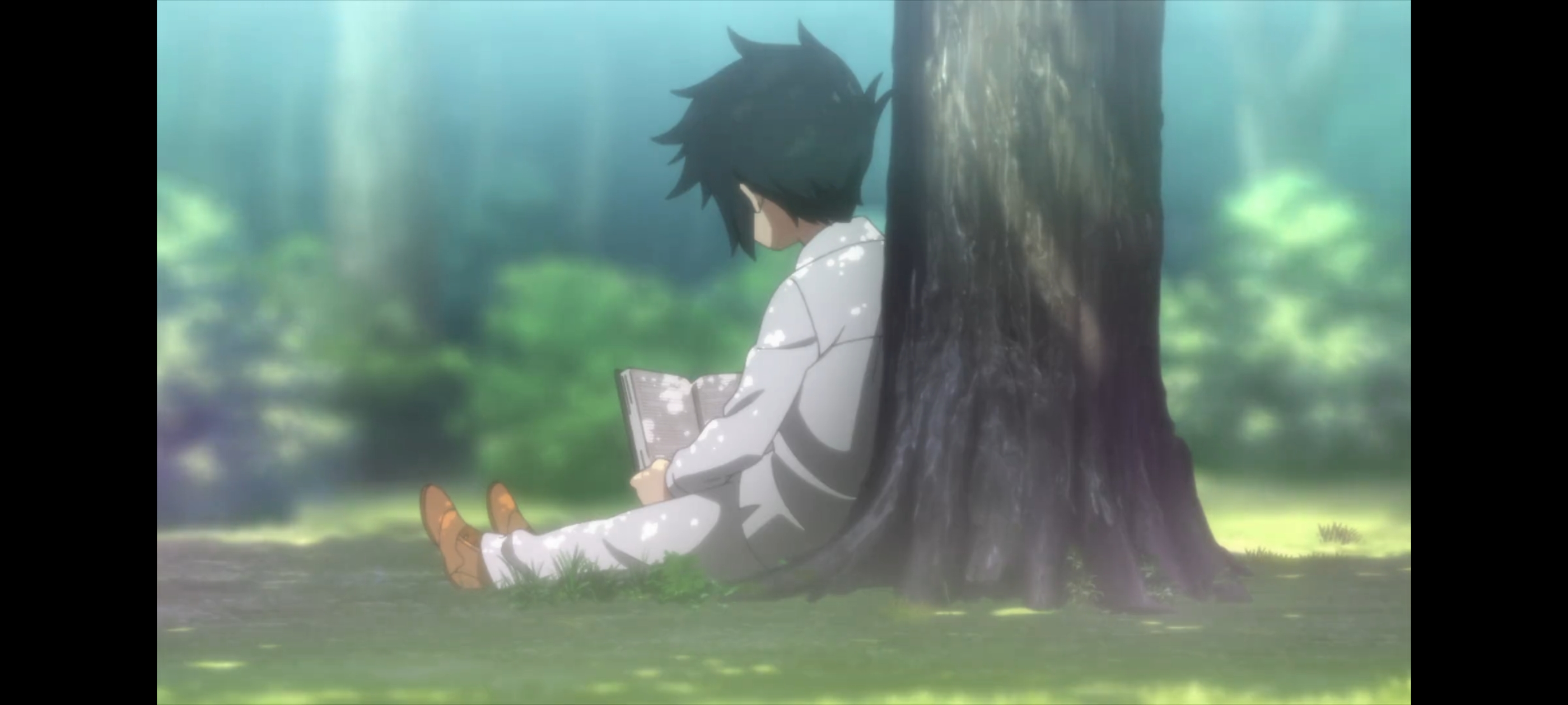 约定的梦幻岛,动画,动漫,番剧,二次元,ACG