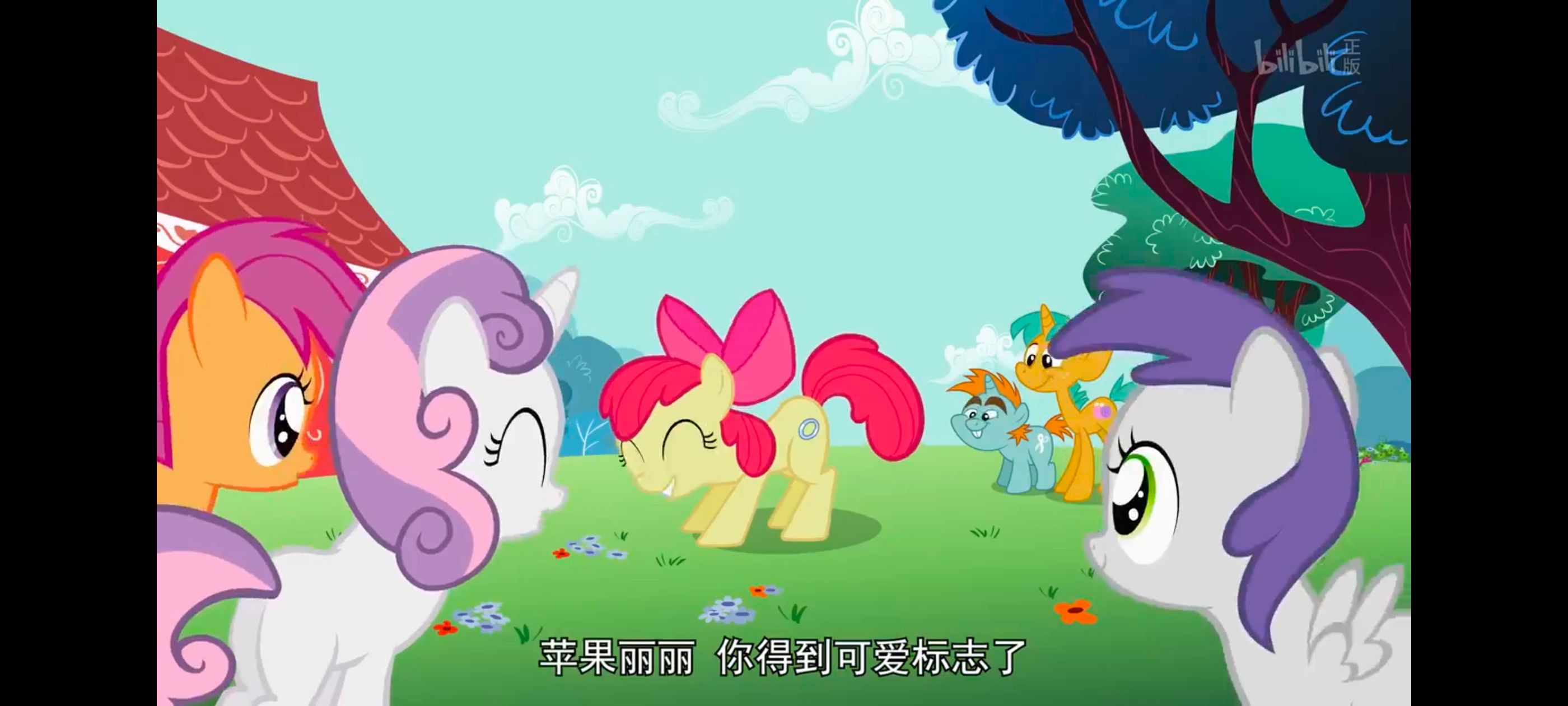 小马宝莉,彩虹小马,我的小马驹,动漫,动画,番剧,ACG