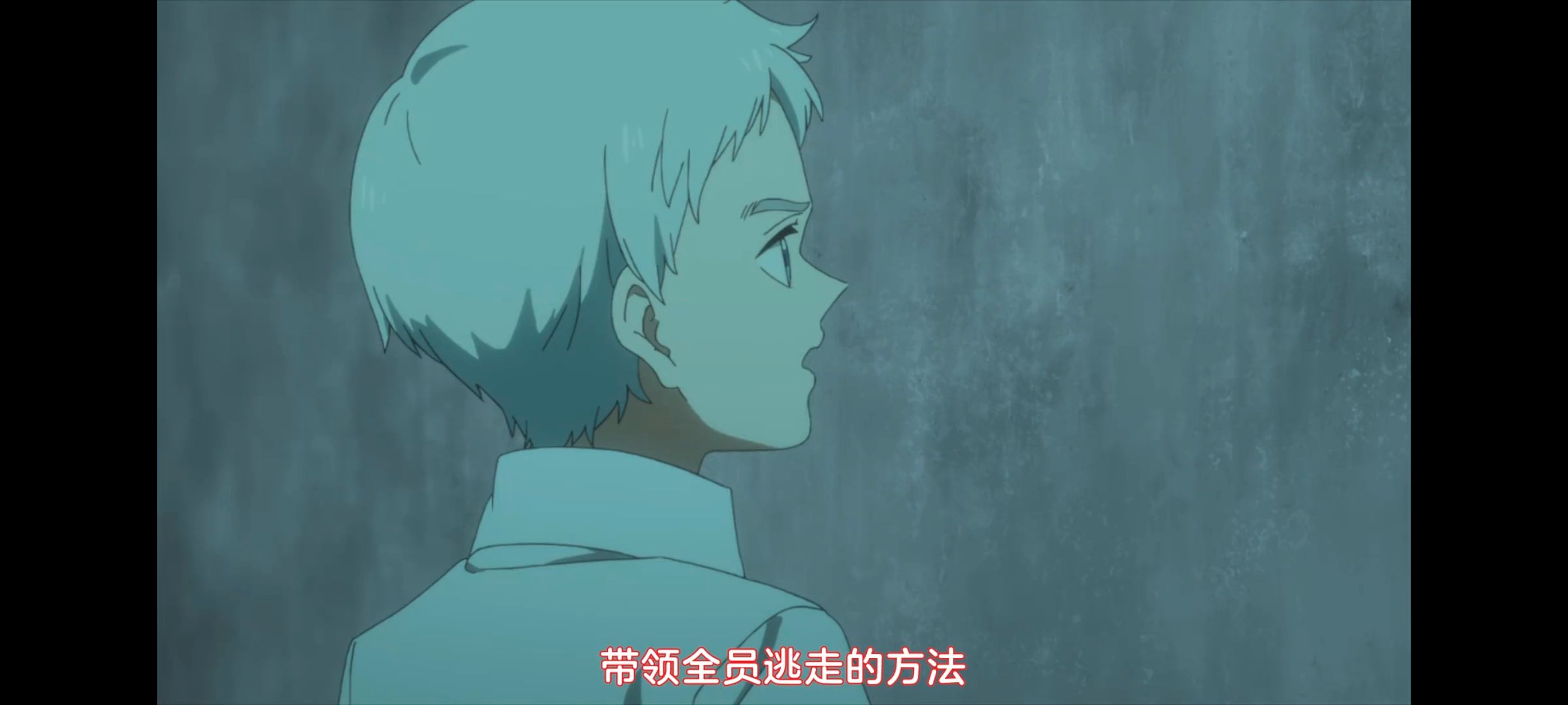 约定的梦幻岛,动画,动漫,番剧,ACG