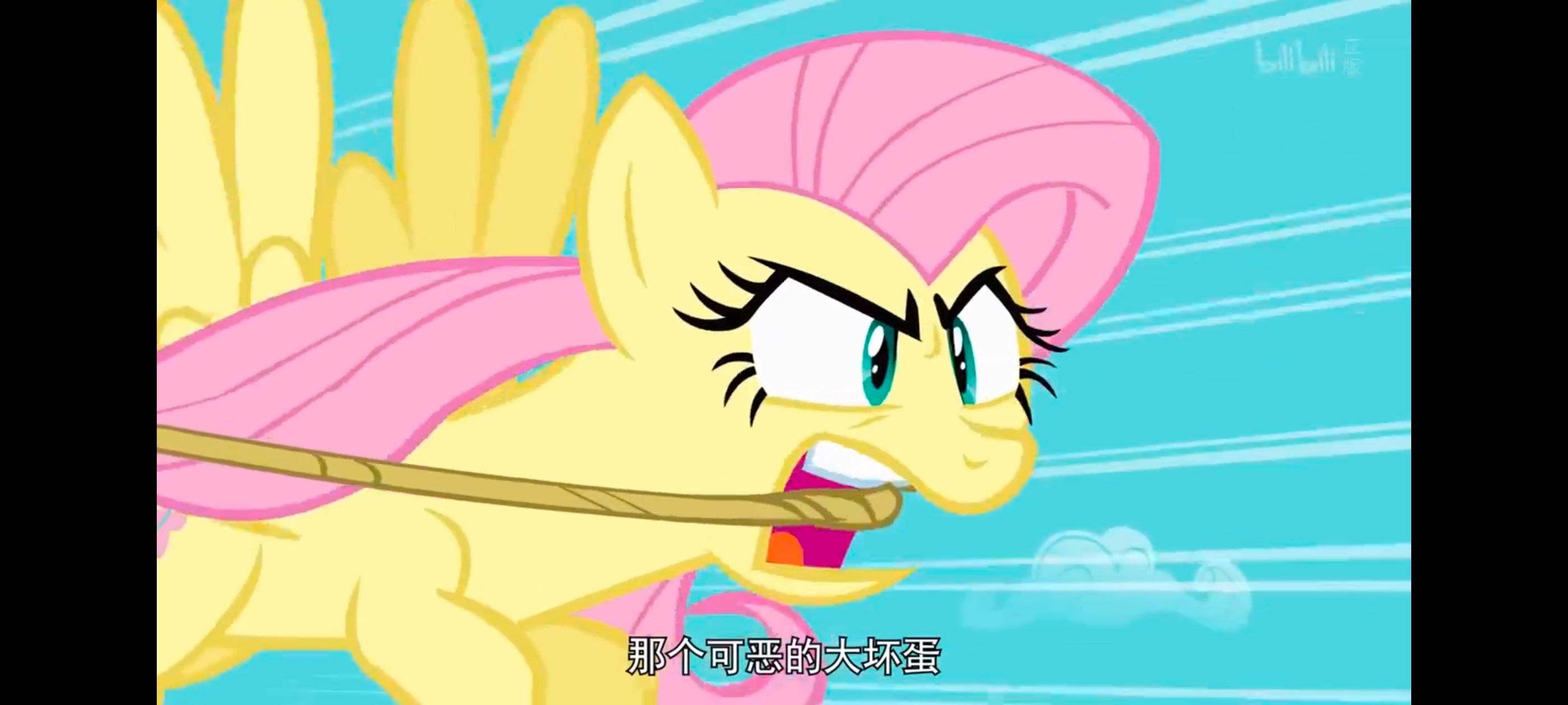 小马宝莉,彩虹小马,我的小马驹,小马宝莉友谊魔法,动漫,动画,番剧,ACG