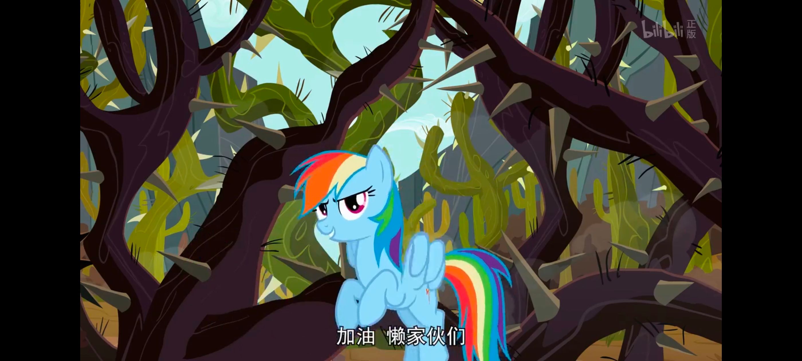 小马宝莉,彩虹小马,我的小马驹,动画,动漫,番剧,二次元,ACG