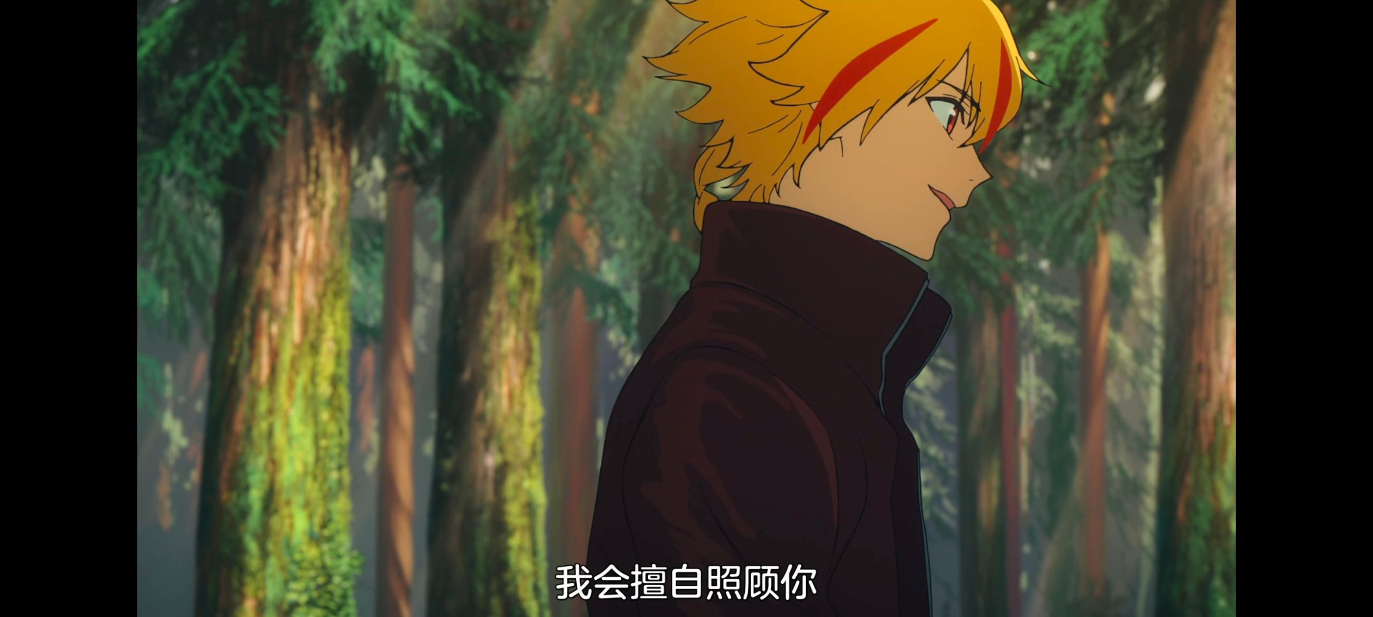 命运奇异赝品,FatestrangeFake,动画,动漫,番剧,ACG