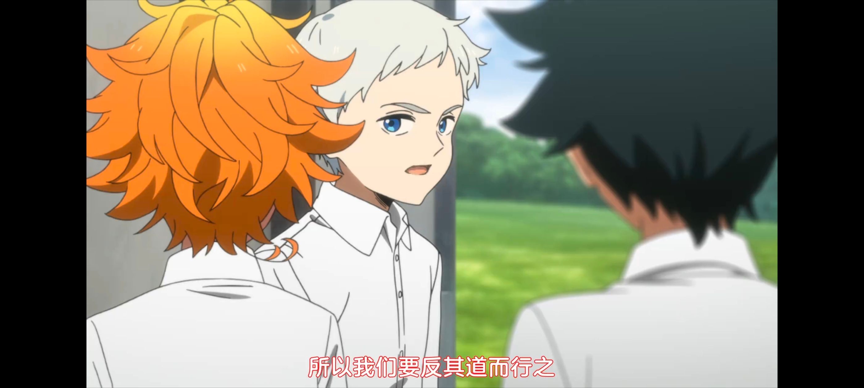 约定的梦幻岛,动画,动漫,番剧,ACG