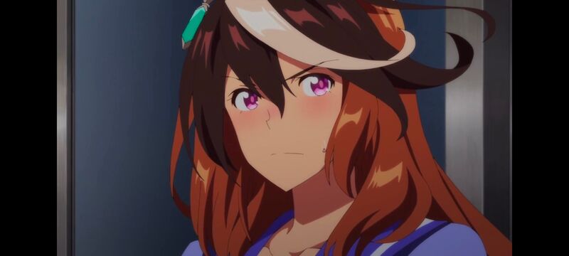 赛马娘,赛马娘PrettyDreby,赛马娘第二季,动画,动漫,番剧,ACG