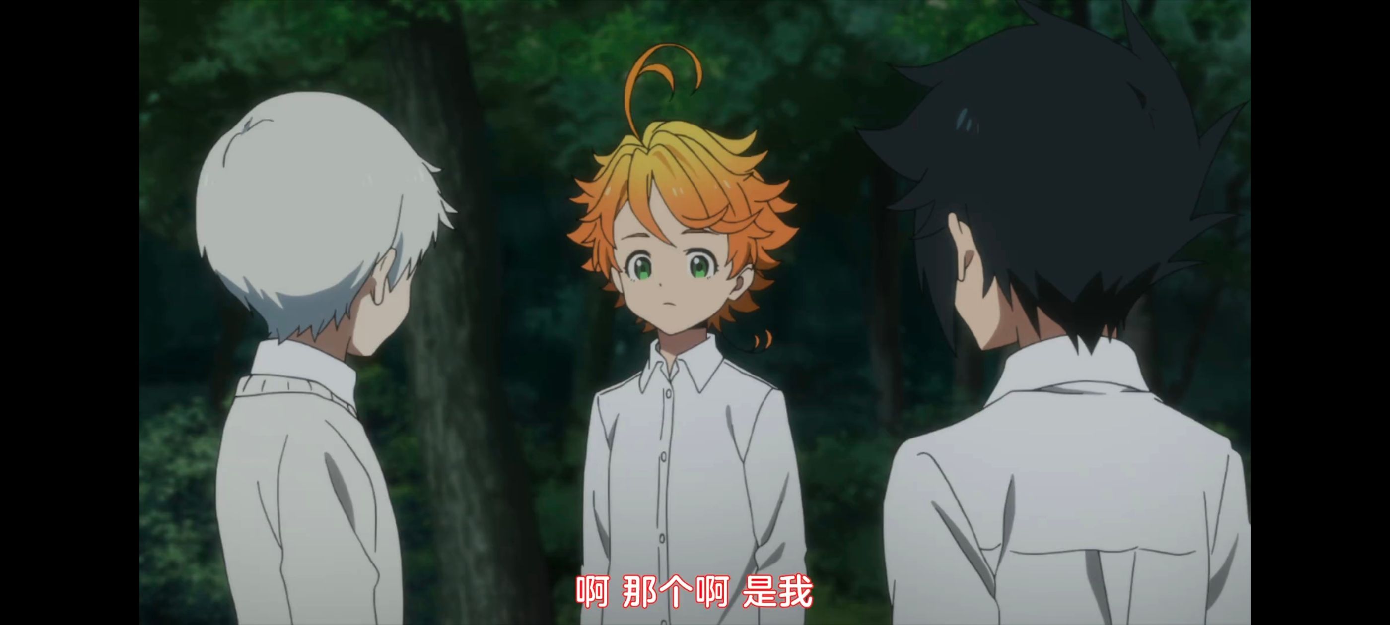 约定的梦幻岛,动画,动漫,番剧,ACG