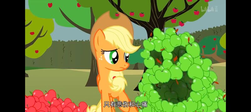 小马宝莉,小马宝莉友谊魔法,彩虹小马,我的小马驹,动画,动漫,番剧,ACG