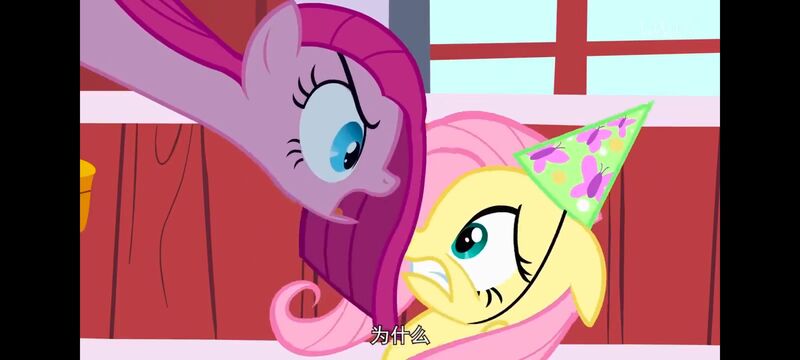 小马宝莉,小马宝莉友谊魔法,彩虹小马,我的小马驹,动画,动漫,番剧,ACG