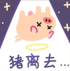 猪,猪猪,表情包