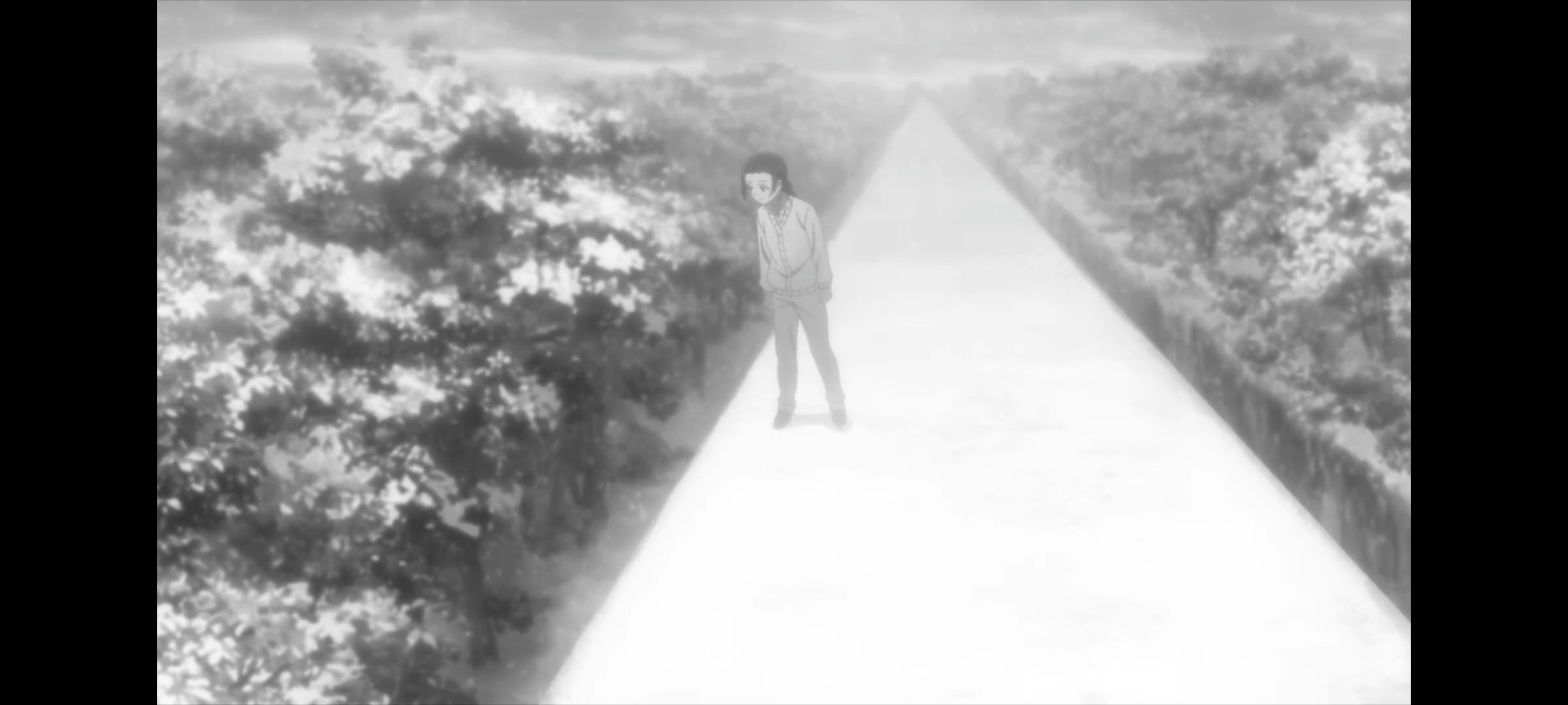 约定的梦幻岛,动画,动漫,番剧,二次元,ACG