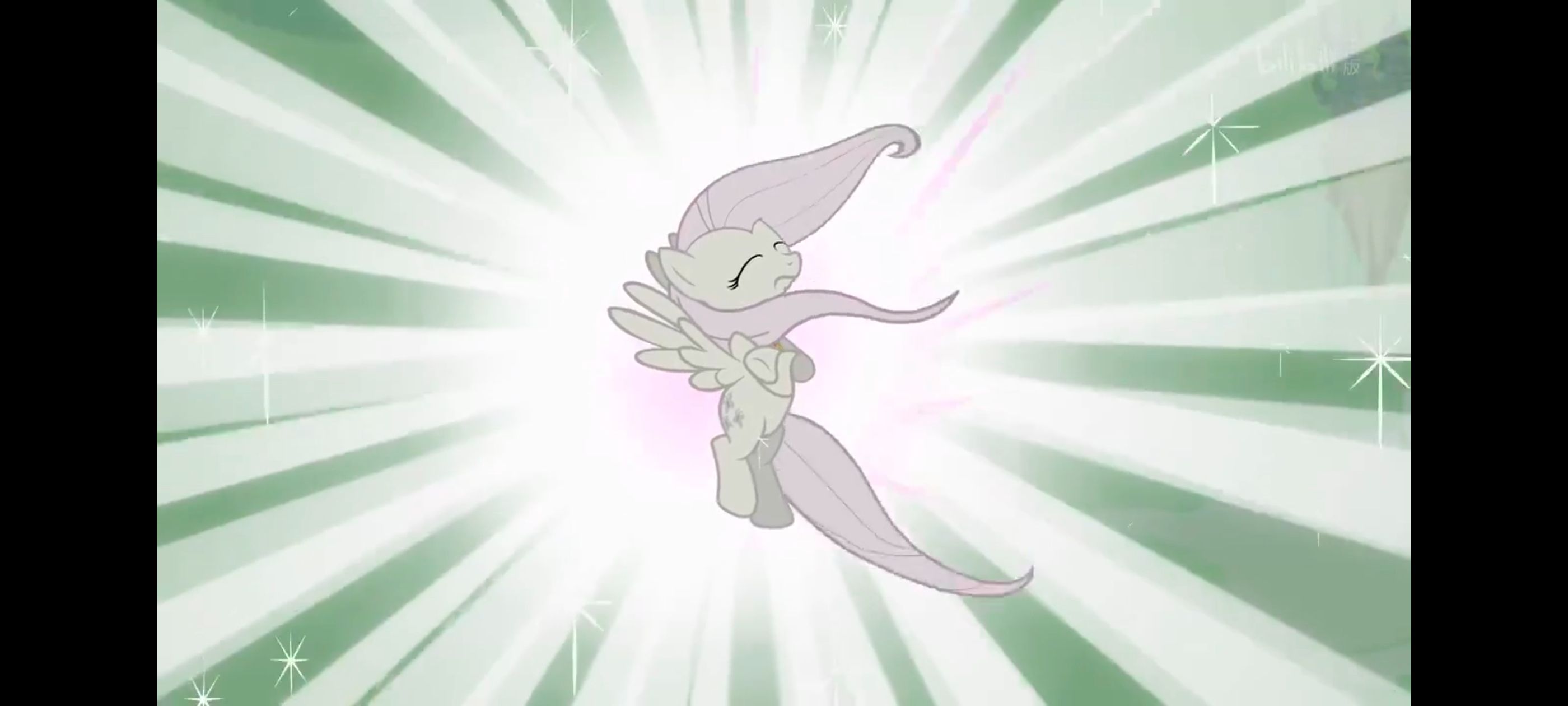 小马宝莉,彩虹小马,我的小马驹,小马宝莉友谊魔法,动漫,动画,番剧,ACG