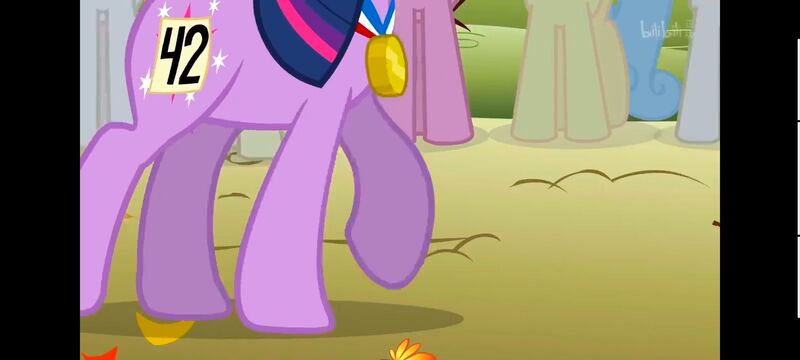 小马宝莉,小马宝莉友谊魔法,彩虹小马,我的小马驹,动画,动漫,番剧,ACG