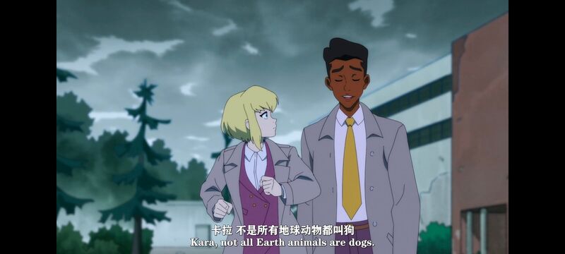 我与超人的冒险,DC,动画,动漫,美漫,超级英雄,番剧,二次元,ACG