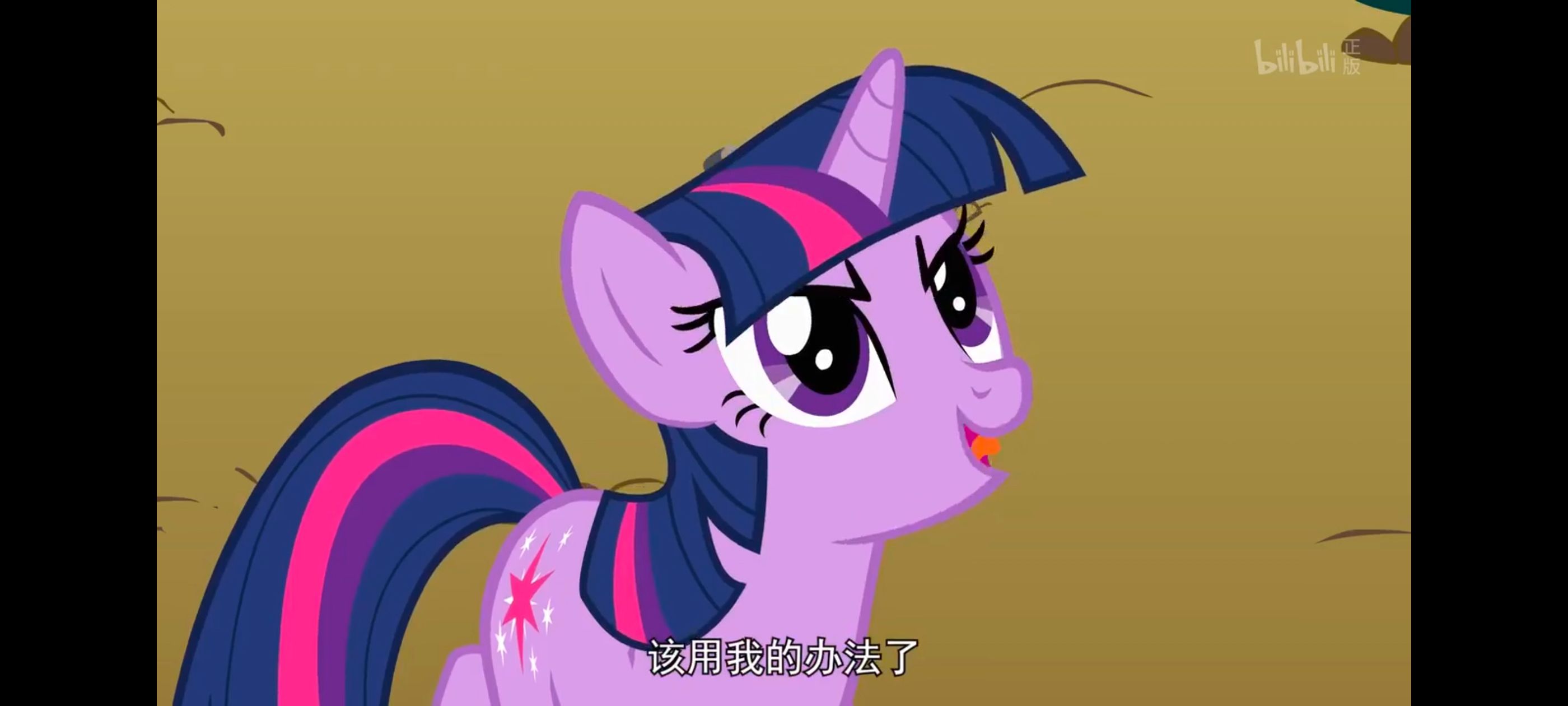 小马宝莉,彩虹小马,我的小马驹,小马宝莉友谊魔法,动漫,动画,番剧,ACG