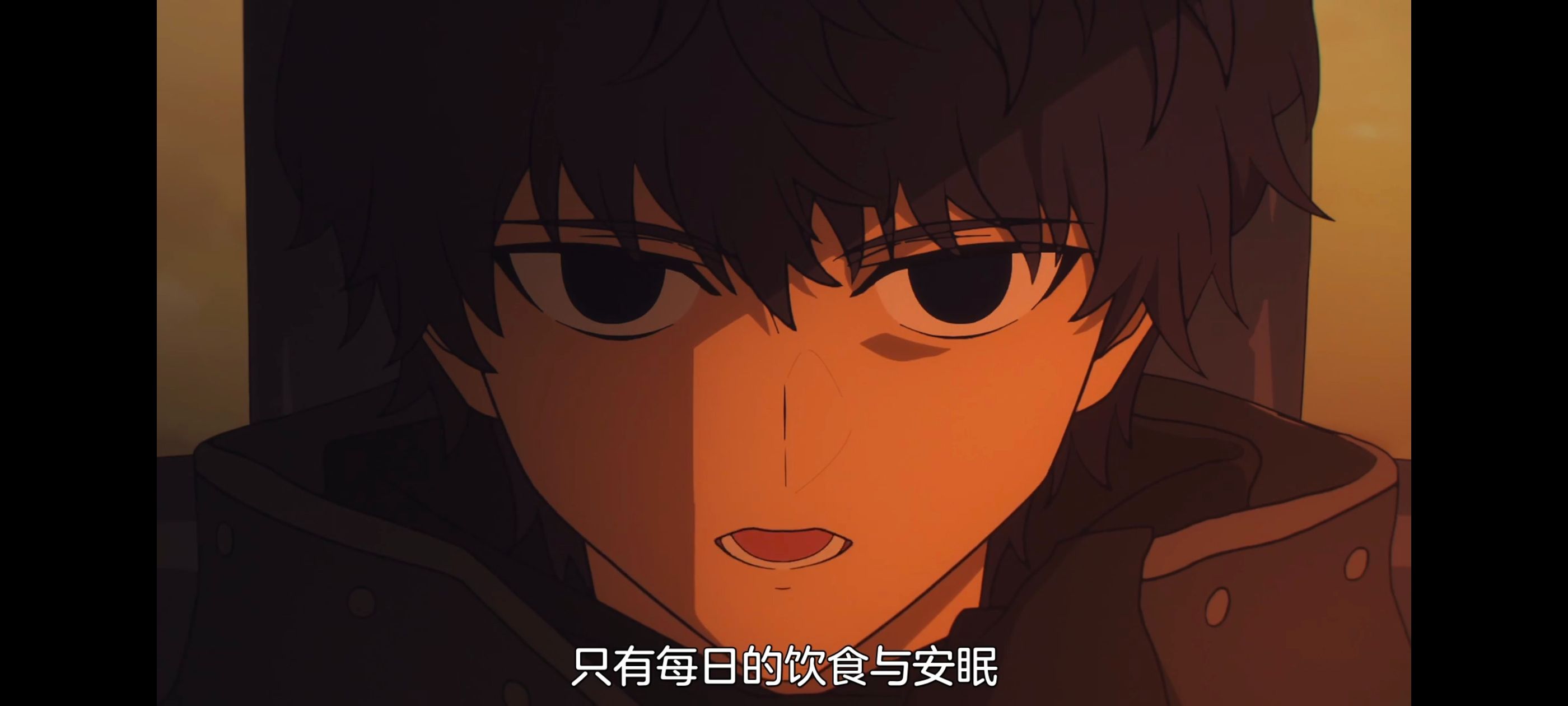 命运奇异赝品,FatestrangeFake,动画,动漫,番剧,ACG