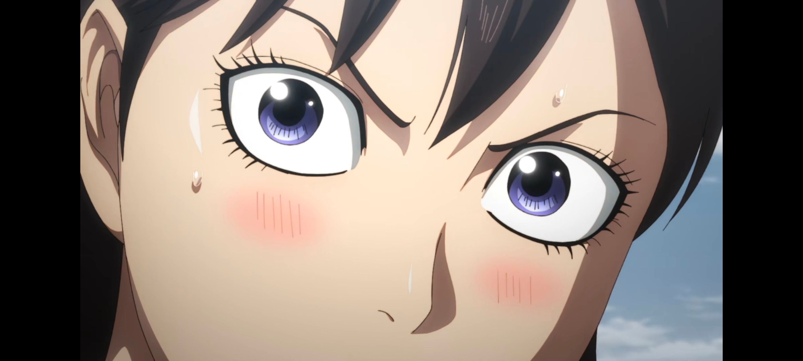 王者天下,动画,动漫,番剧,ACG